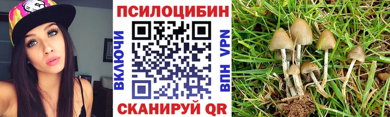 Псилоцибиновые грибы Psilocybe  Нязепетровск 